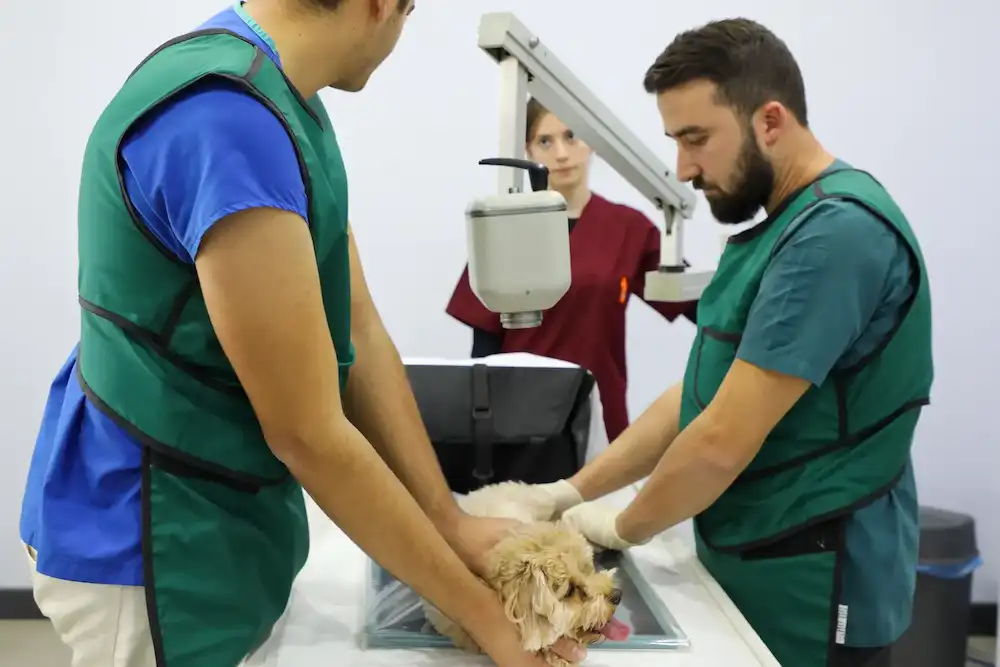 Kurtköy Monavet Veteriner Kliniği