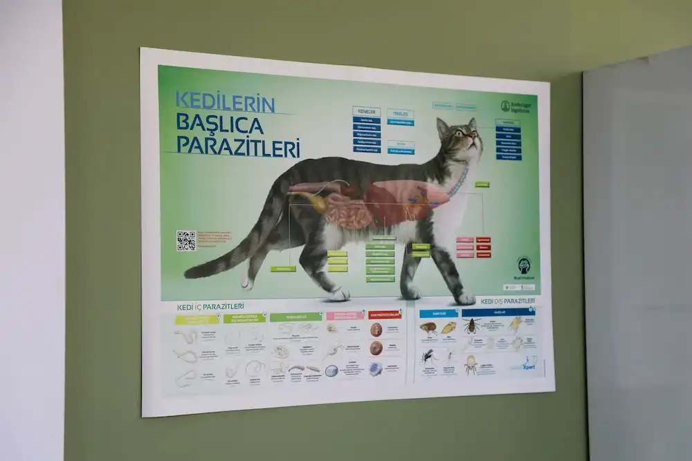 Kurtköy Monavet Veteriner Kliniği