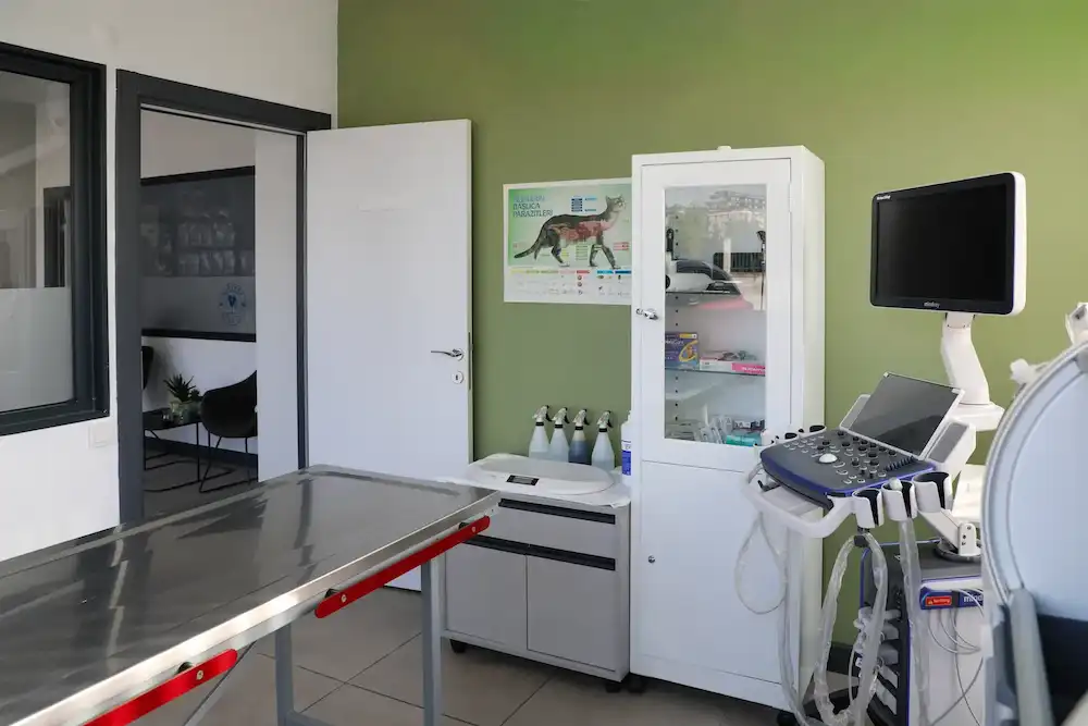 Kurtköy Monavet Veteriner Kliniği